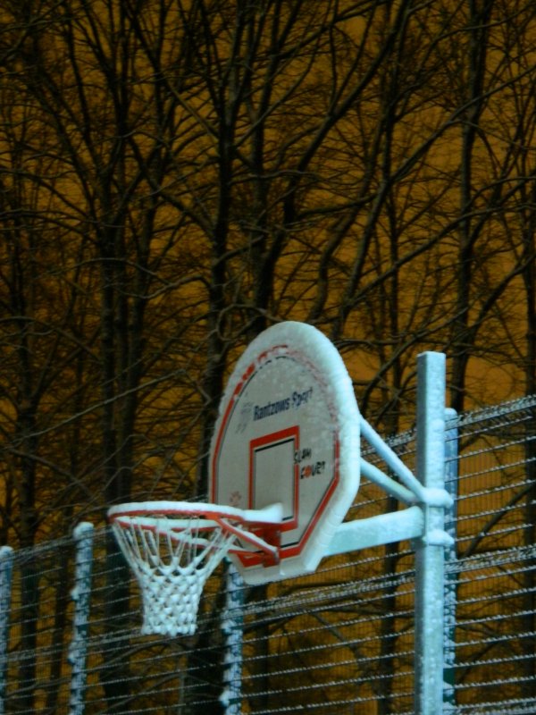 Snow basket-ball - Lina Liber