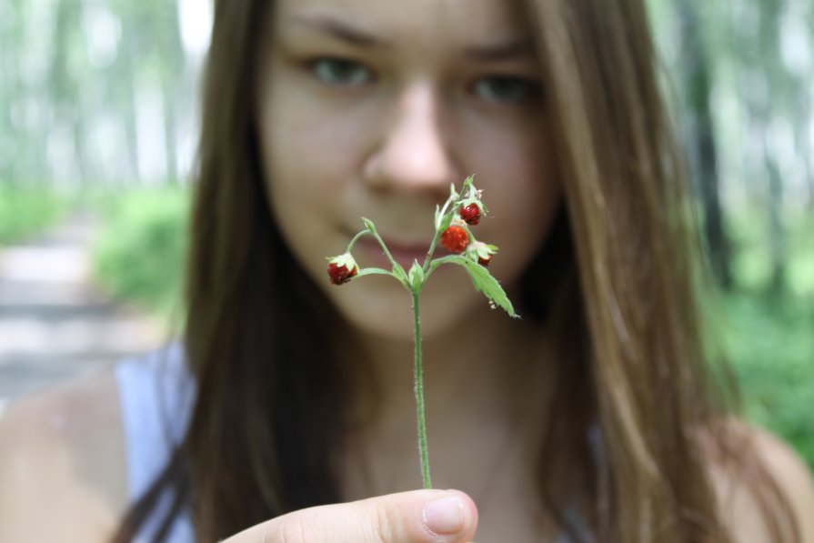 Лес - Лиза Смирнова