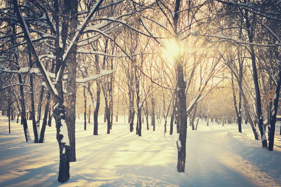 Зимний день - Тихон Литвиненко