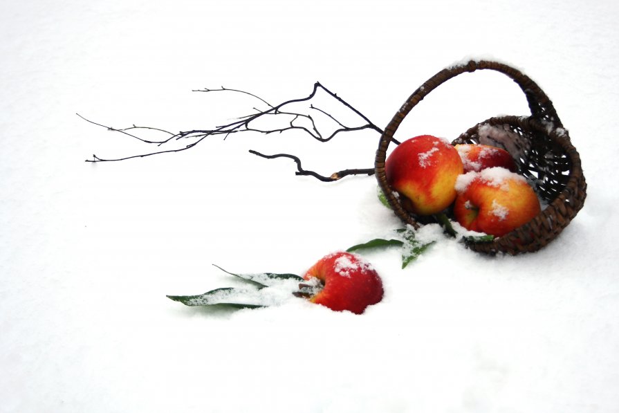 Яблоки на снегу - Natasha Kravtseva