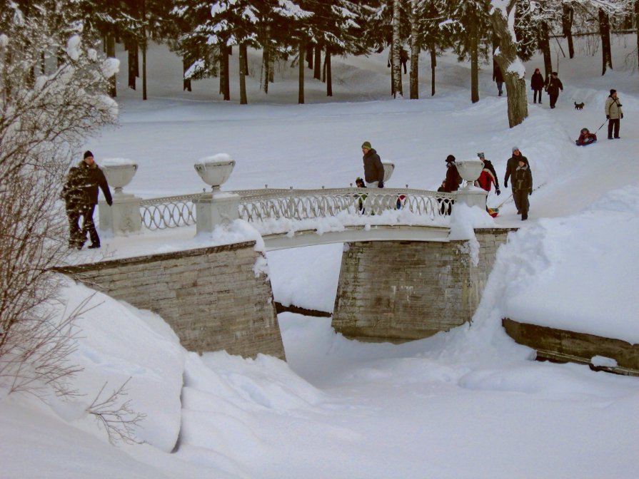 Чугунный мостик зимой - Олег Попков