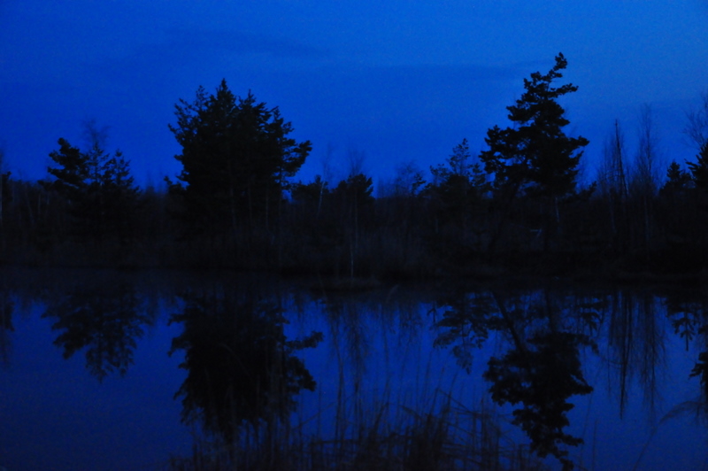 Ночь на болоте... - Anatoly Lunov