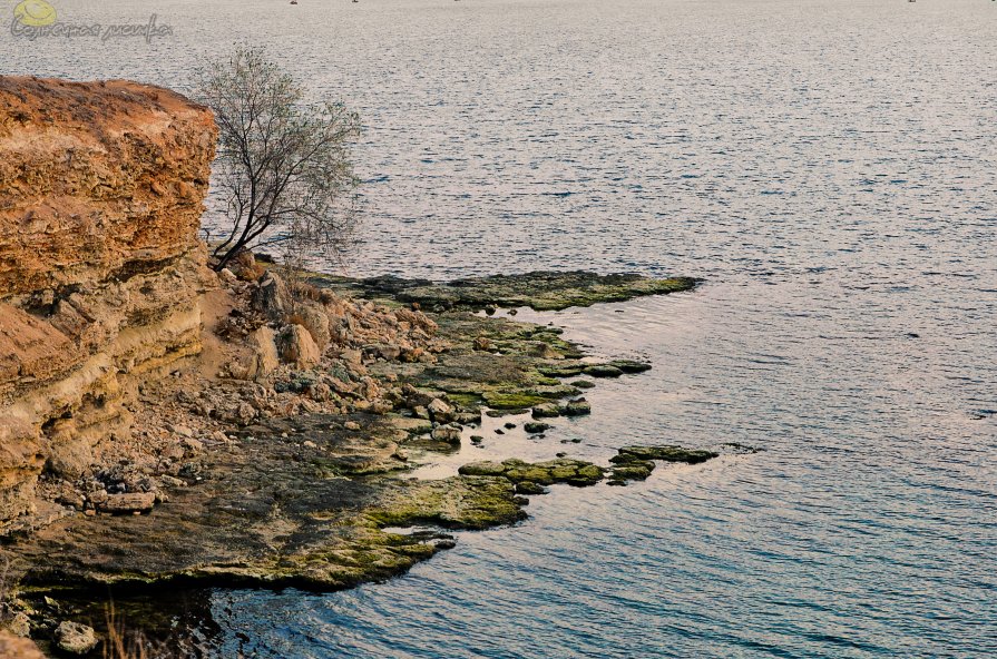 Островок.Севастополь. - Фотограф Дарья Скугарева