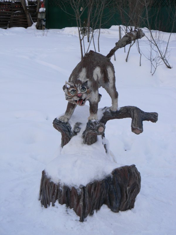 Кот - Таня Щелкова