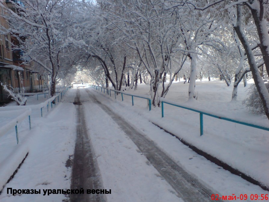 Причуды уральской весны - Александр Липовецкий