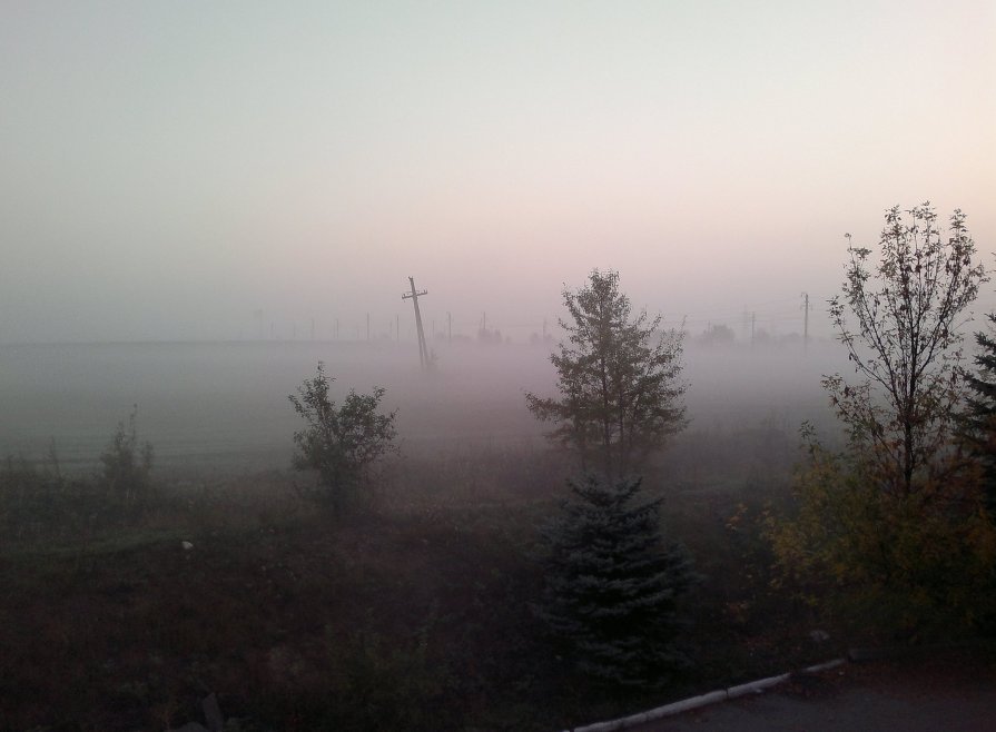 Туман - Сергей Солдатенко
