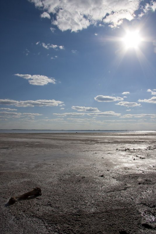 Мертвое море на Алтае... - Vladimir Lubarets
