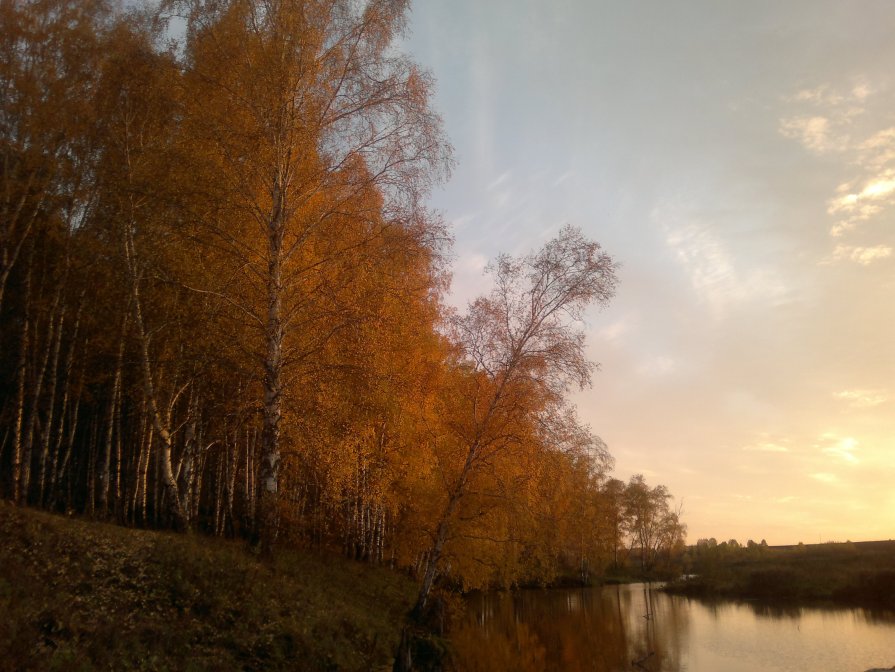Золотая осень - Валерий Гусельников
