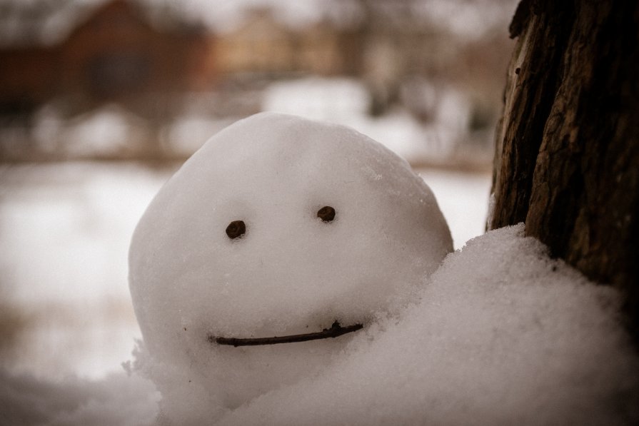 Снежный человек - Денис Мартынов