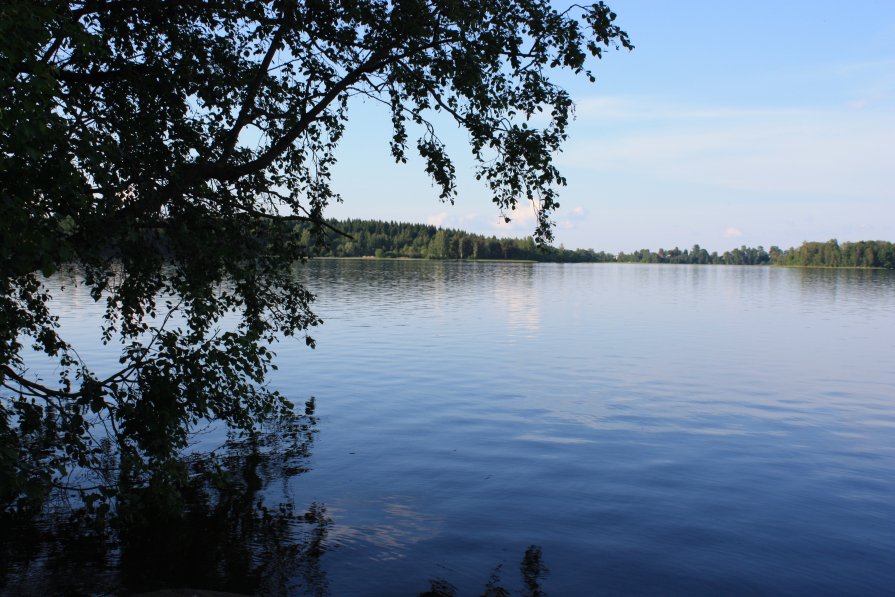 Жглино - Варвара Андреева