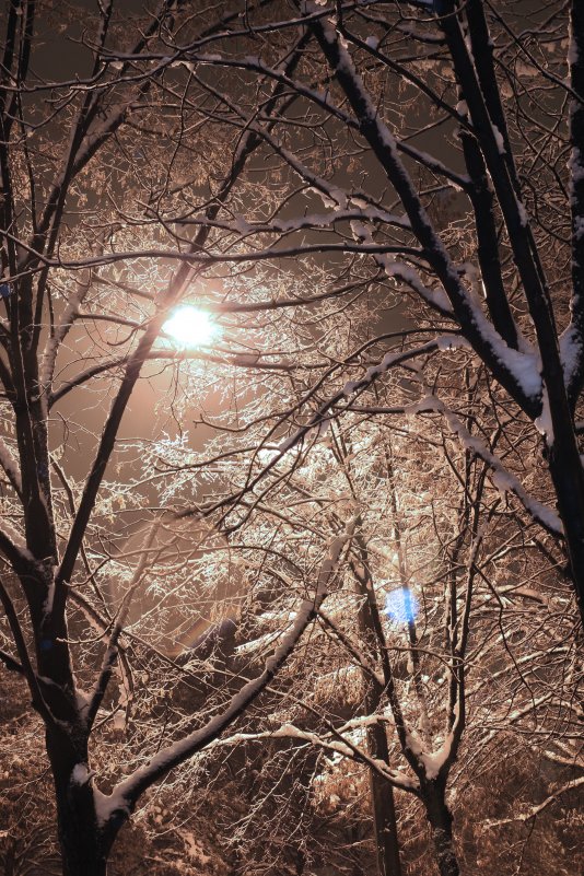 Ночь...улица...фонарь ...зима - Елена Казакевич