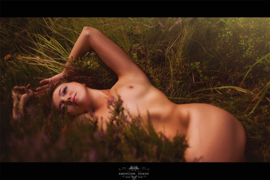 forest Beauty - Евгений Крестьянов