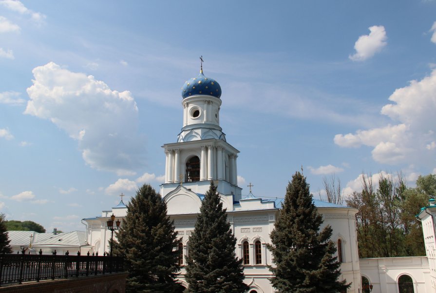Святогорский монастырь - Александр Ведмидь