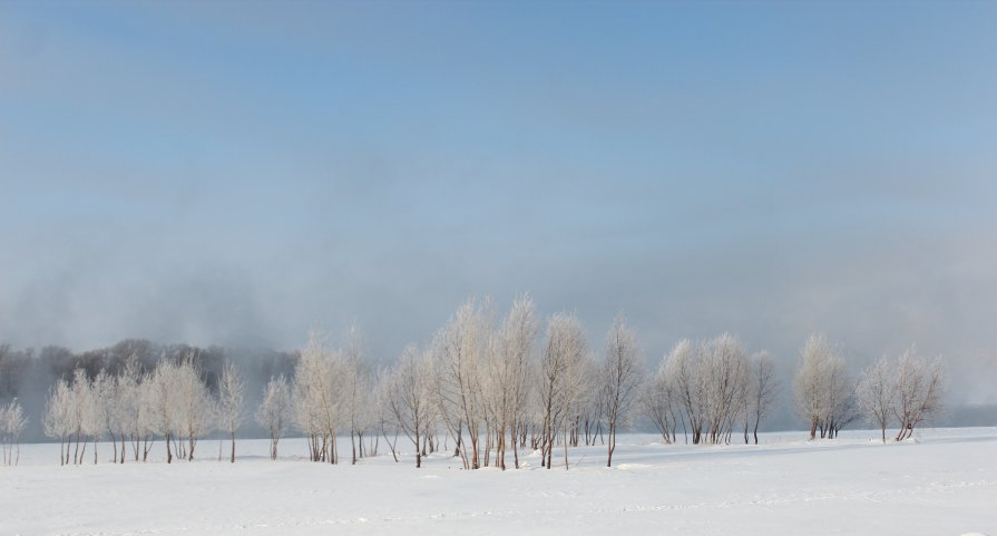 Зимнее настроение - Лена Реснянская