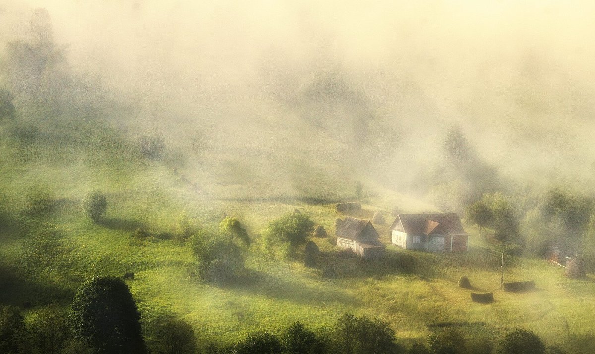 *** - Андрій Кізима