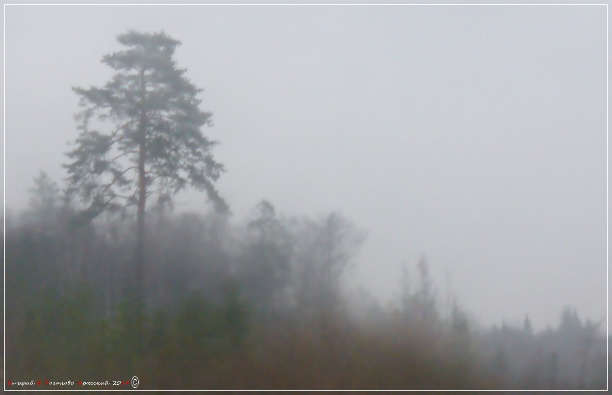 Туман, туман-сплошная  пелена... - Валерий Викторович РОГАНОВ-АРЫССКИЙ