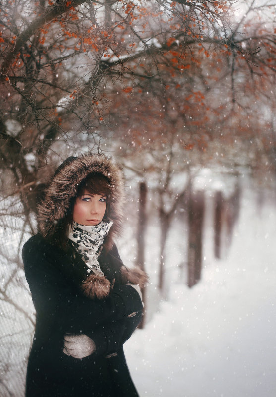 Времена года: Зима - Mary Ilyina