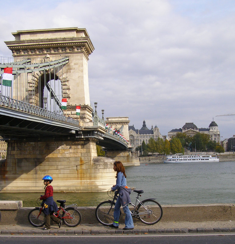 Мост через реку Дунай - Андрей ТOMА©