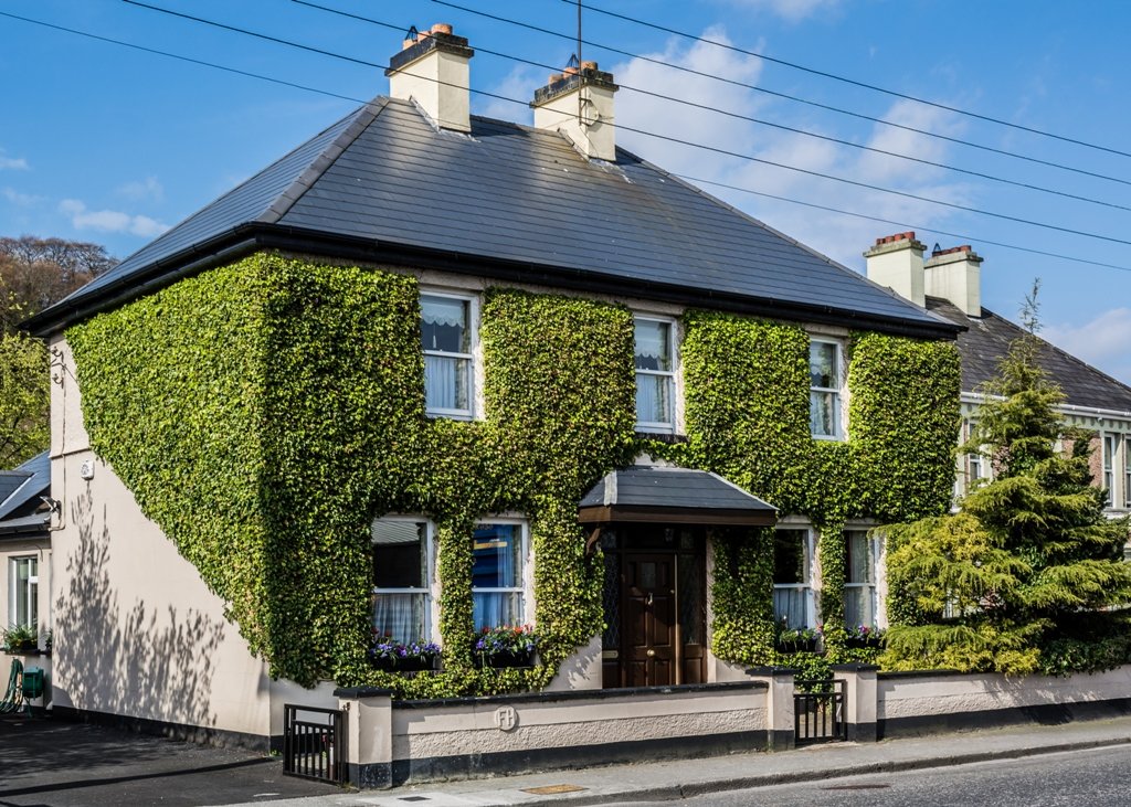 Foynes, Ireland - Александр Шмелёв