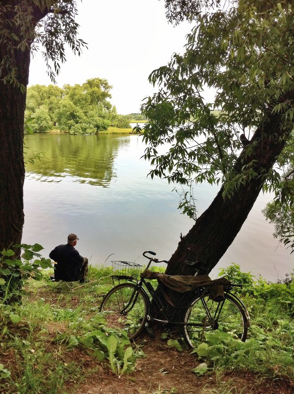 С утра сидит на озере любитель рыболов - Ирина Бирюкова