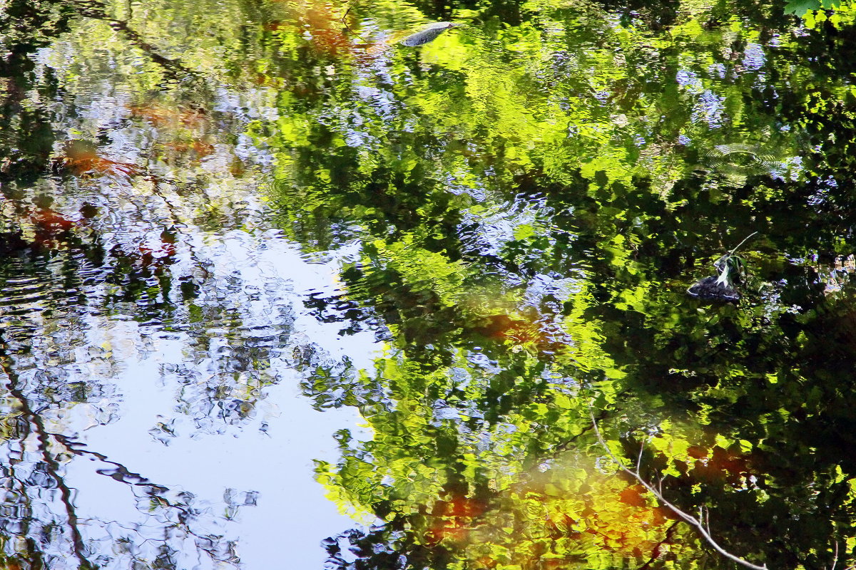Листья в реке - Виктор Истомин