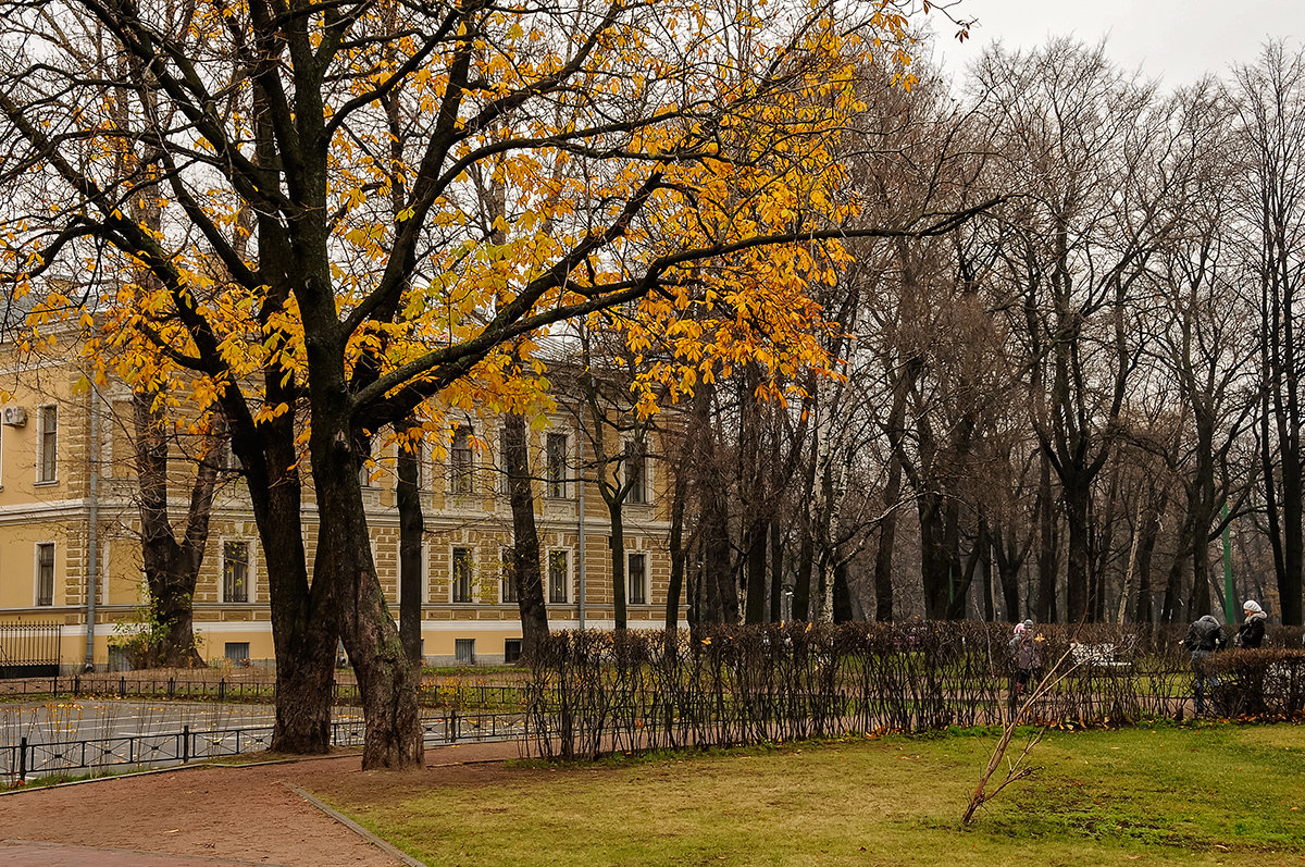 осень в Питере - Galina 