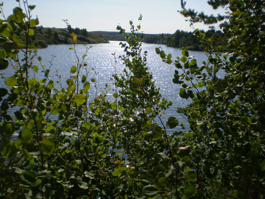 Озеро - Лариса Рогова