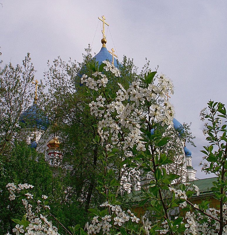 В городе весна - Сергей Антонов