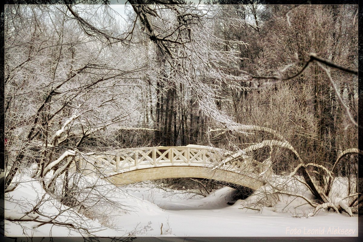 Зимний мостик - Leo Alex Foto