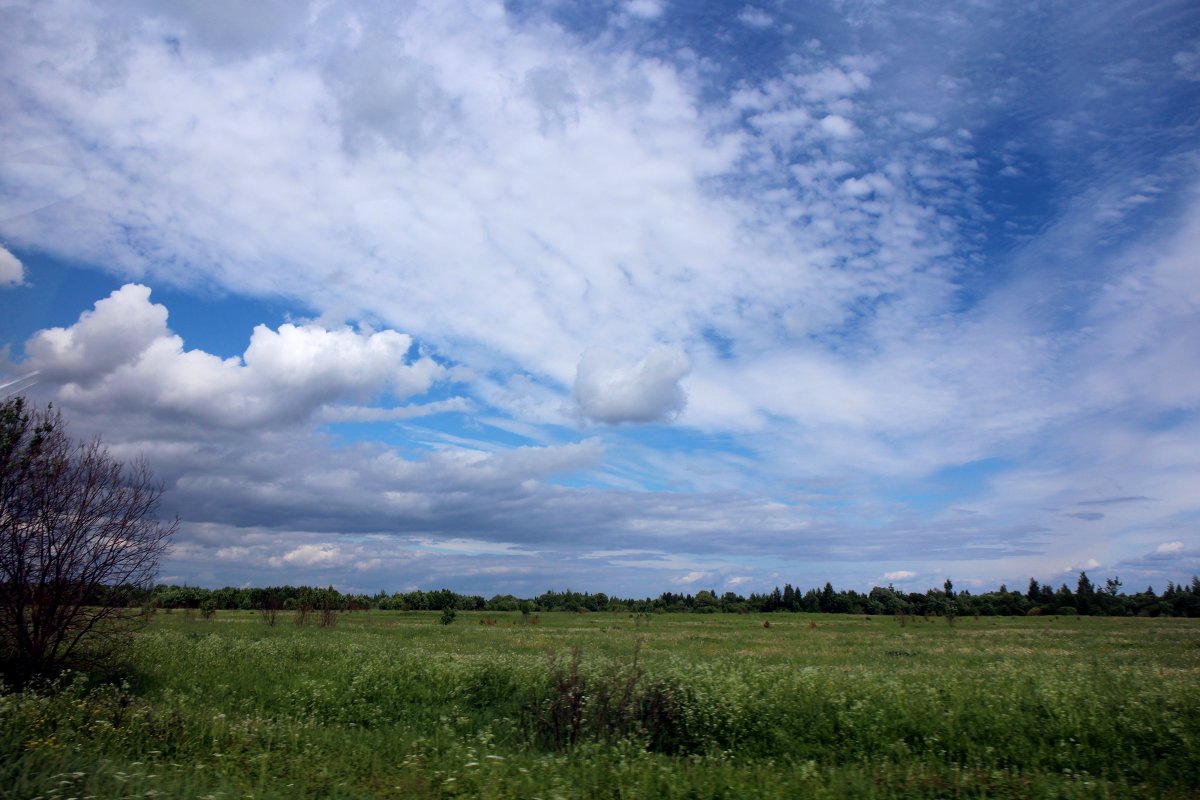 Облака над полем - Вита Чернышева (CheVita)