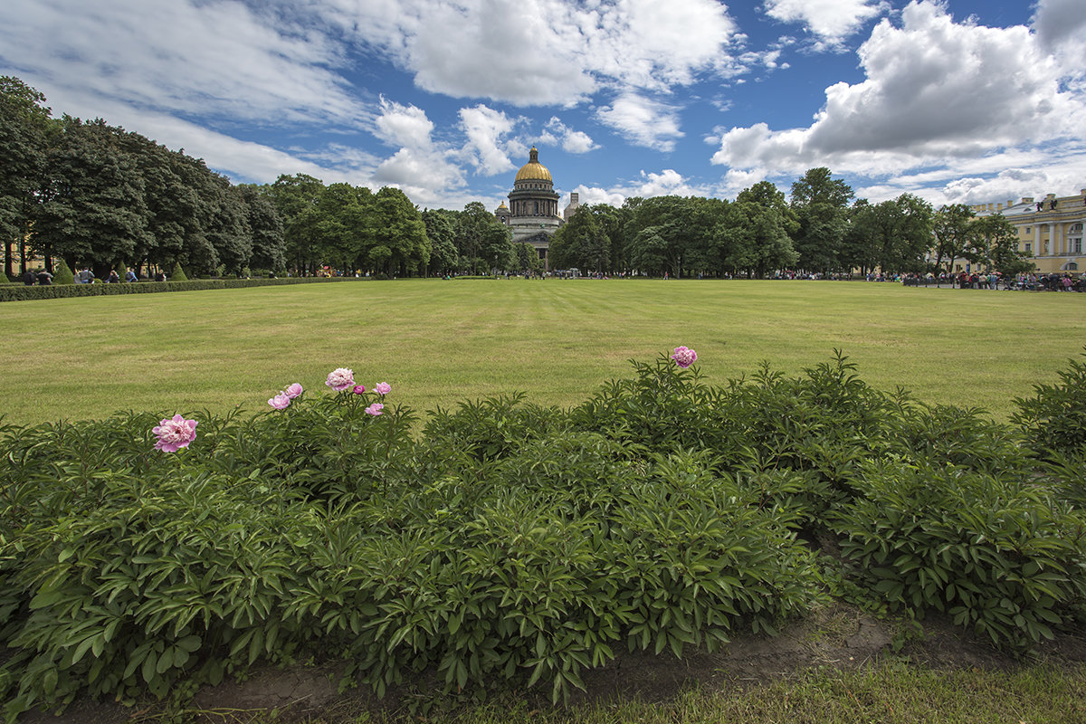 Городской пейзаж - Андрей Шаронов