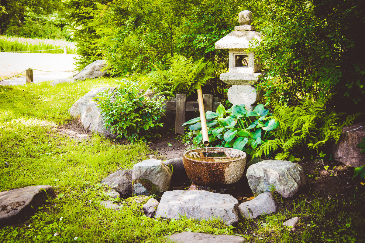 японский сад - Ольга Шульгина