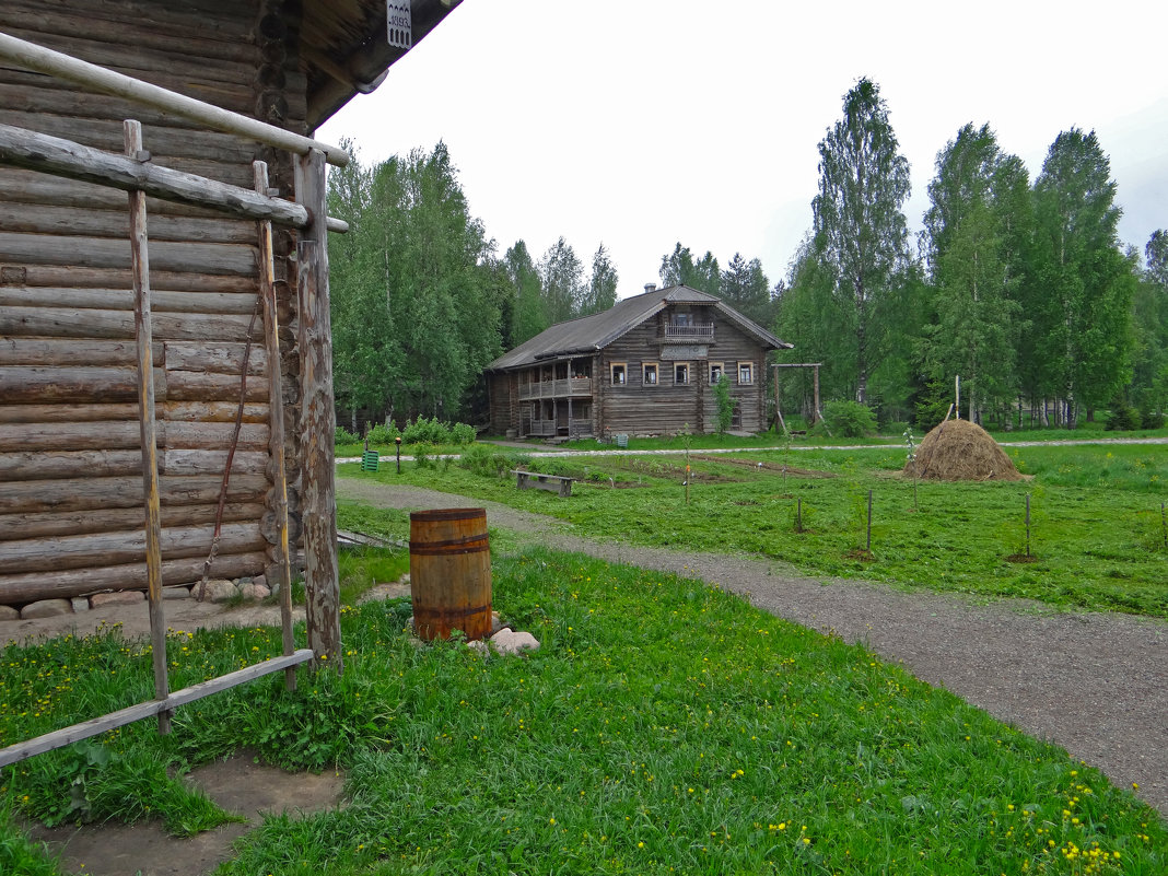 Мандроги - Паровозик из Ромашково Ж