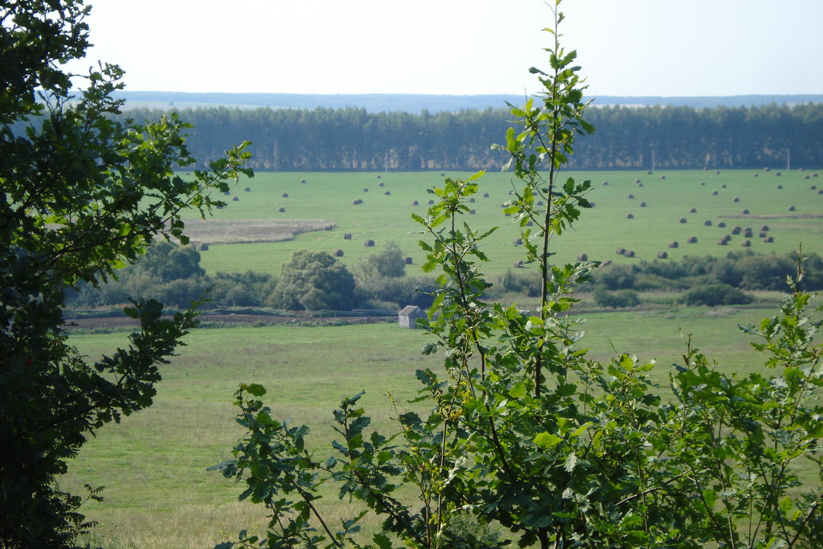 Край родной,  навек любимый..... - Любовь (Or.Lyuba) Орлова