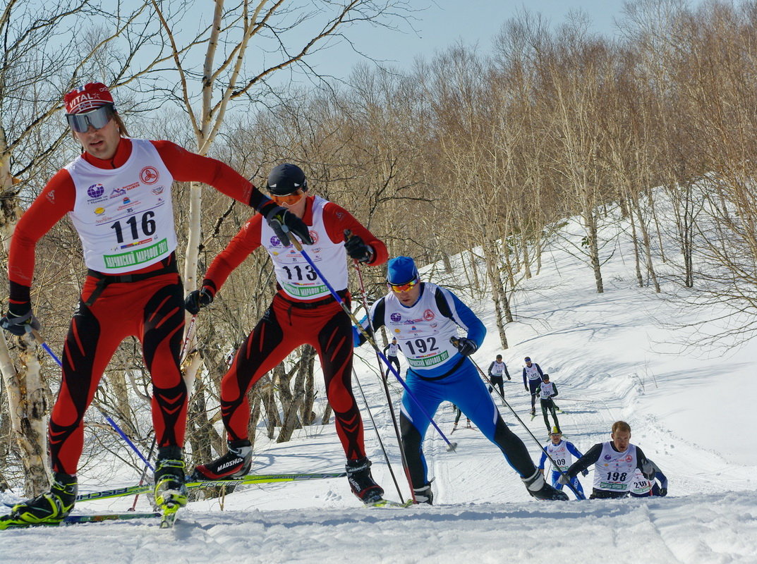Борьба на лыжне - Литвинов Валерий 