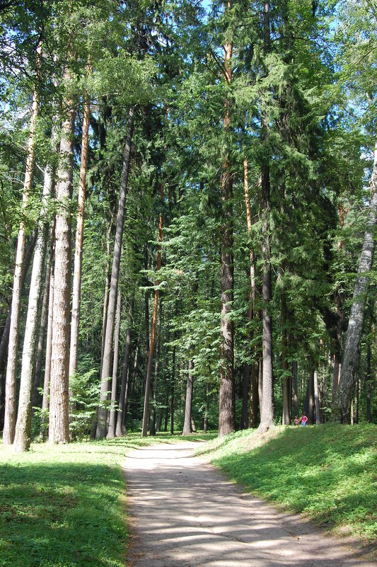 В старинном парке - Александр Буянов