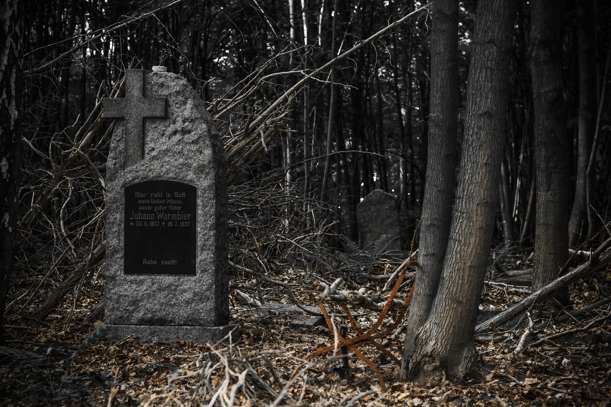 Заброшенные могилки в лесу - Anatoli Schneidmiller
