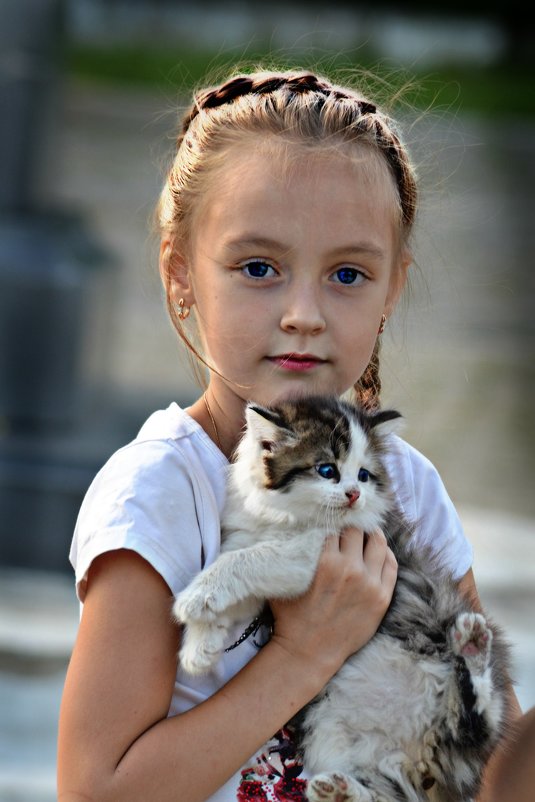 Девочка с котенком - Алена Шуплецова