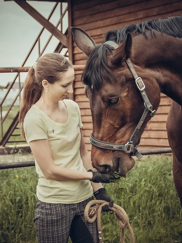 Horse - Мила Семенова