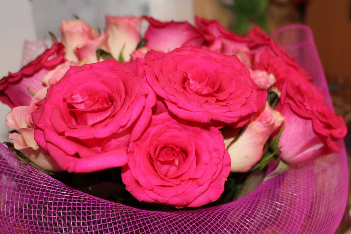 розовые розы - Олечка Жилина