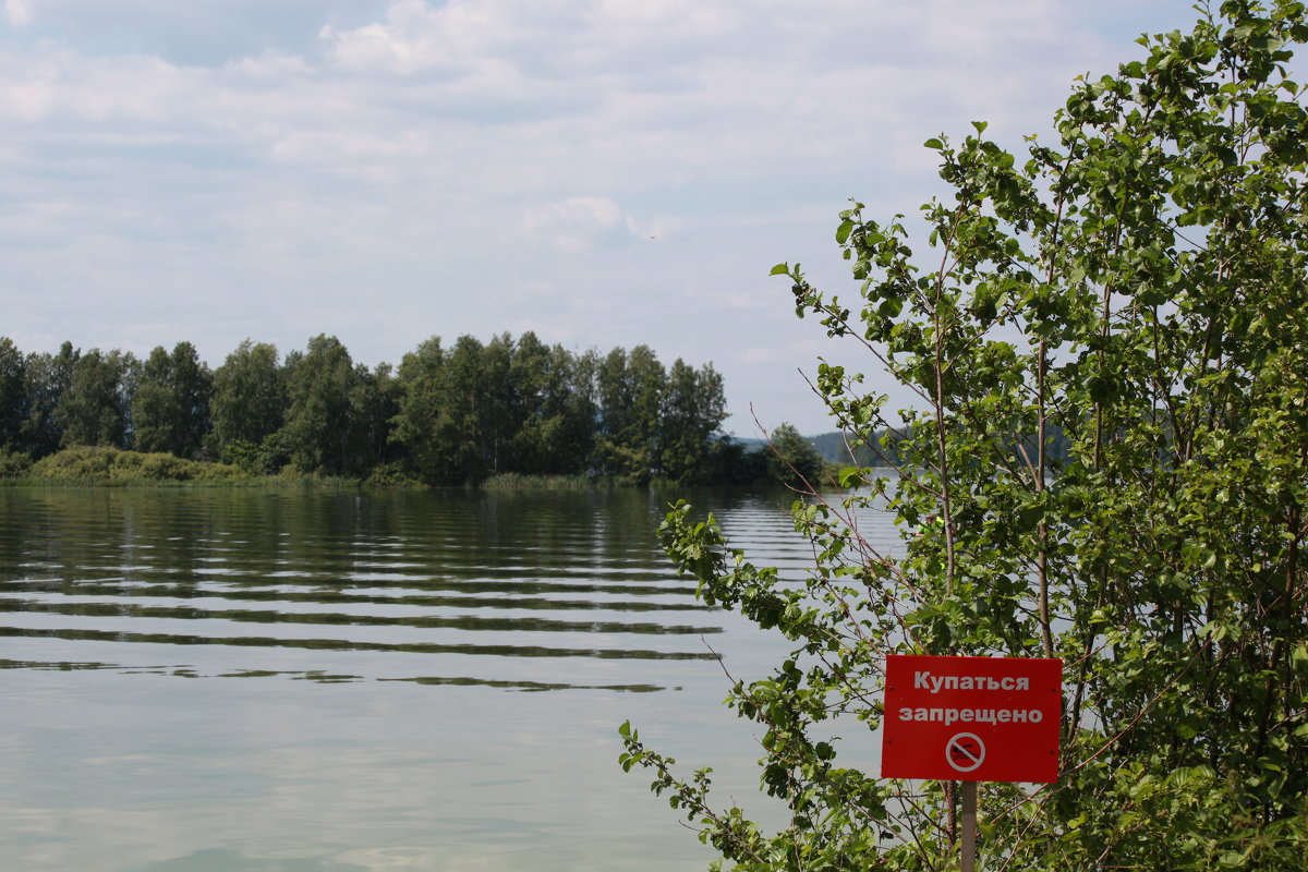 Купаться запрещено - Артем Бардюжа