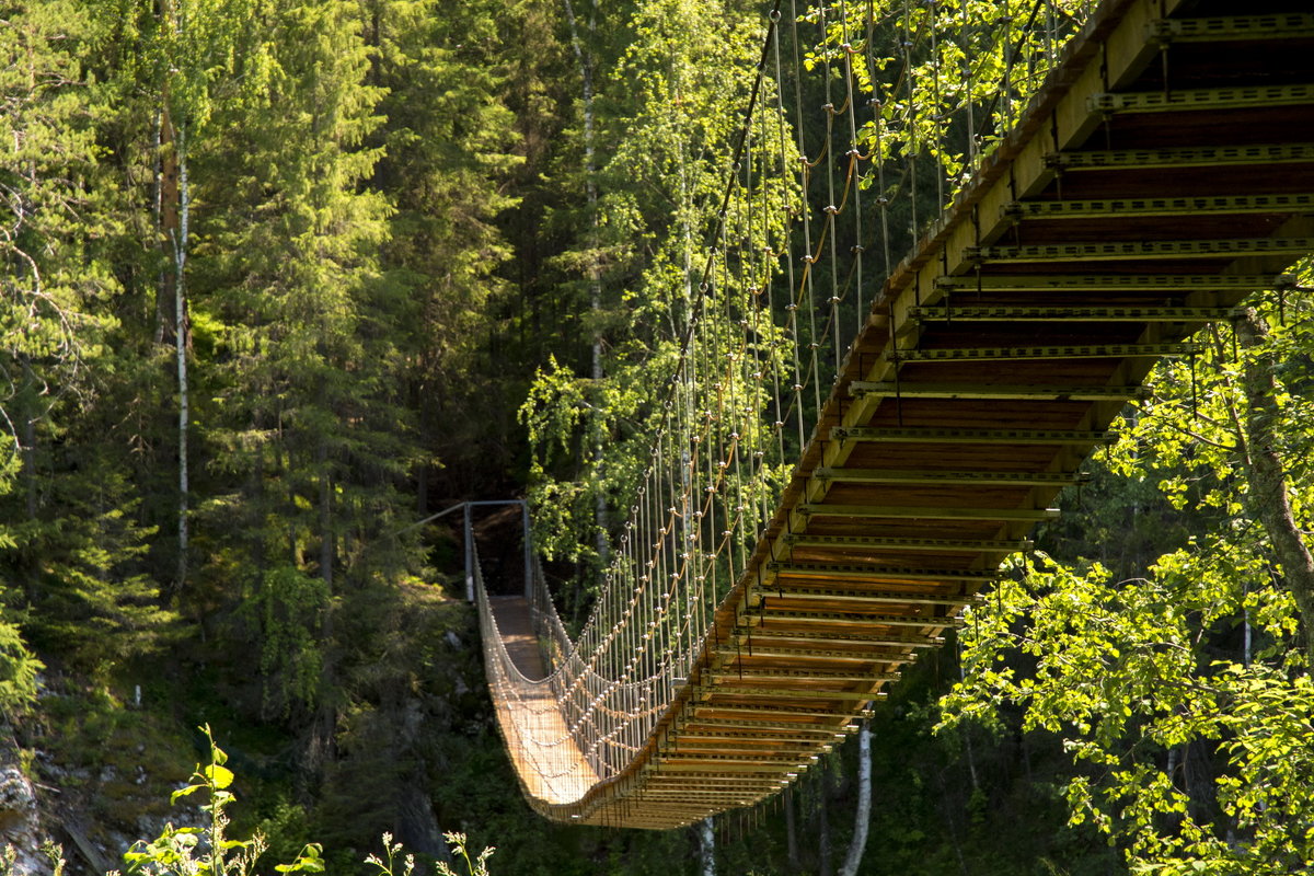 hinged bridge - Dmitry Ozersky