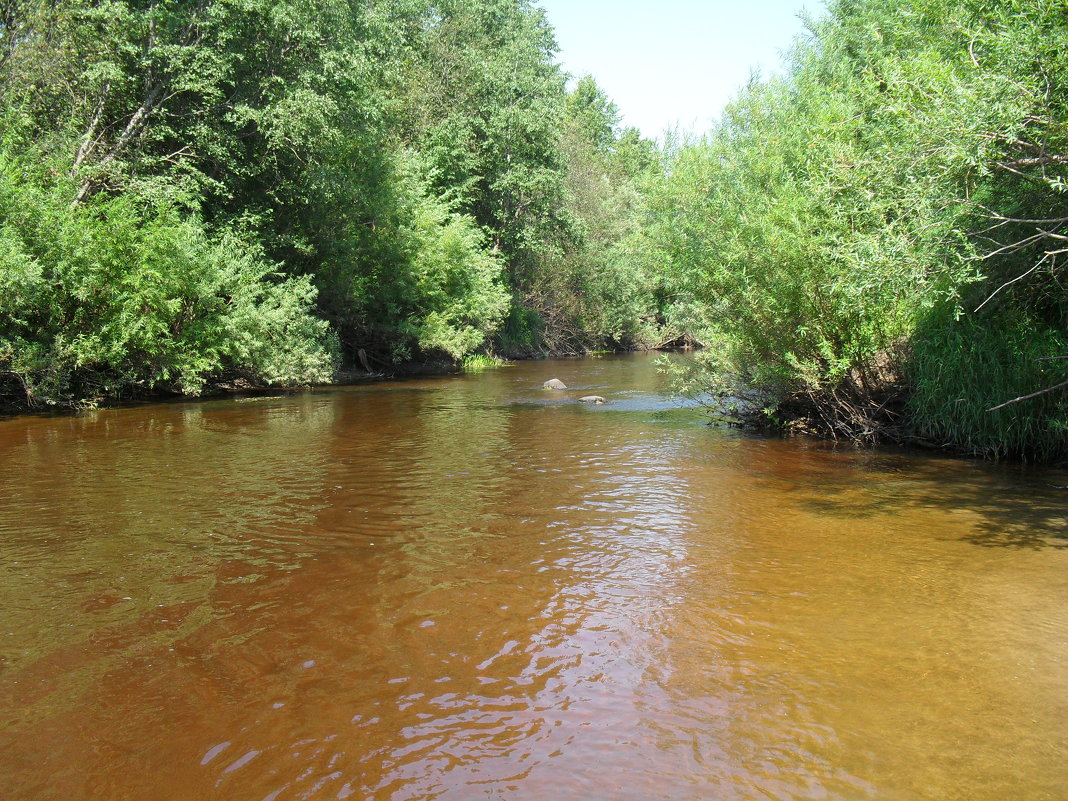 Река Черёха - BoxerMak Mak