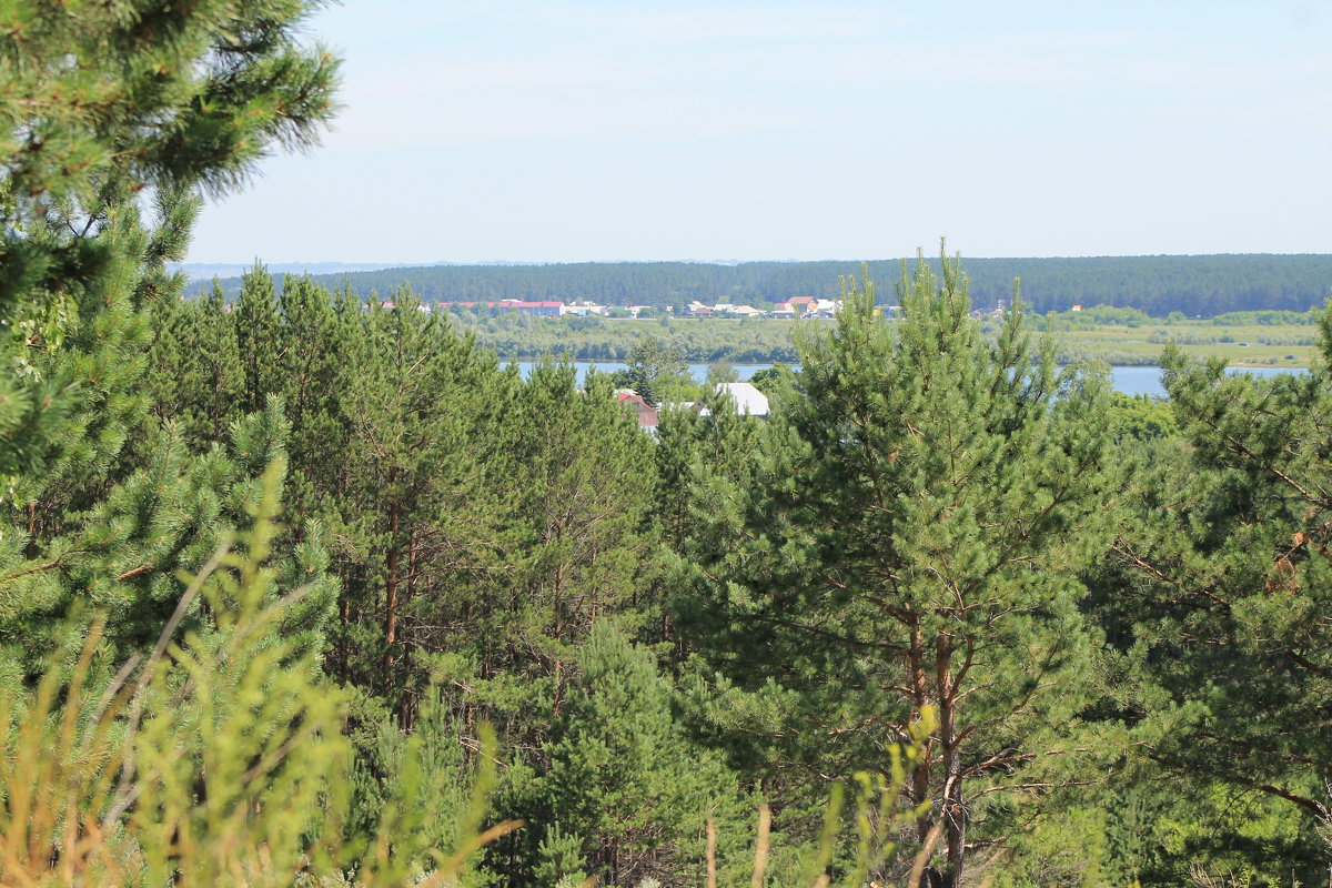 За городом. - Олег Афанасьевич Сергеев