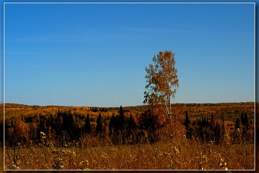 Осень - Владимир Клюнк