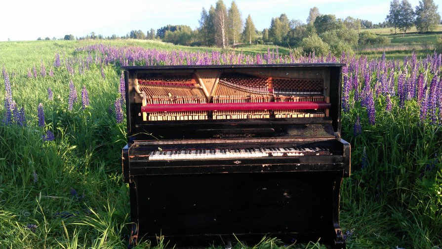 пианино в поле - Денис Вознесенский