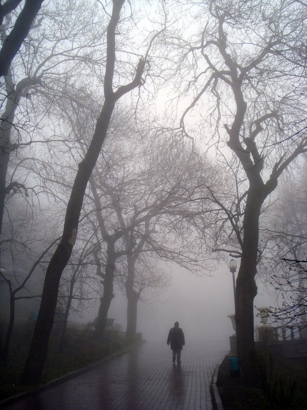Туман в Железноводске - Сергей Назаркин