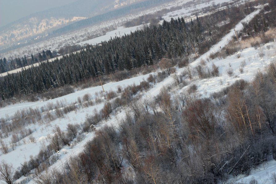 Панорама. - Радмир Арсеньев