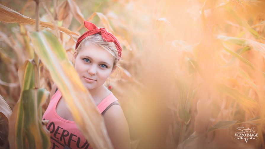 портрет девушки в кукурузном поле - Vezzo Image