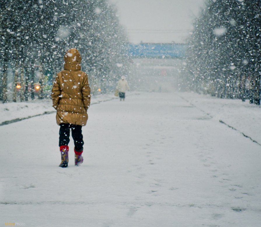 Идя по следам зимы - Денис Барсуков